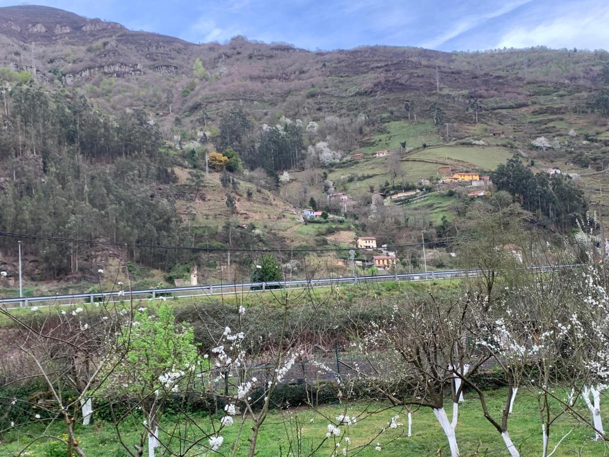 Casa Rural En Santa Cruz-Mieres Bustiello  Luaran gambar