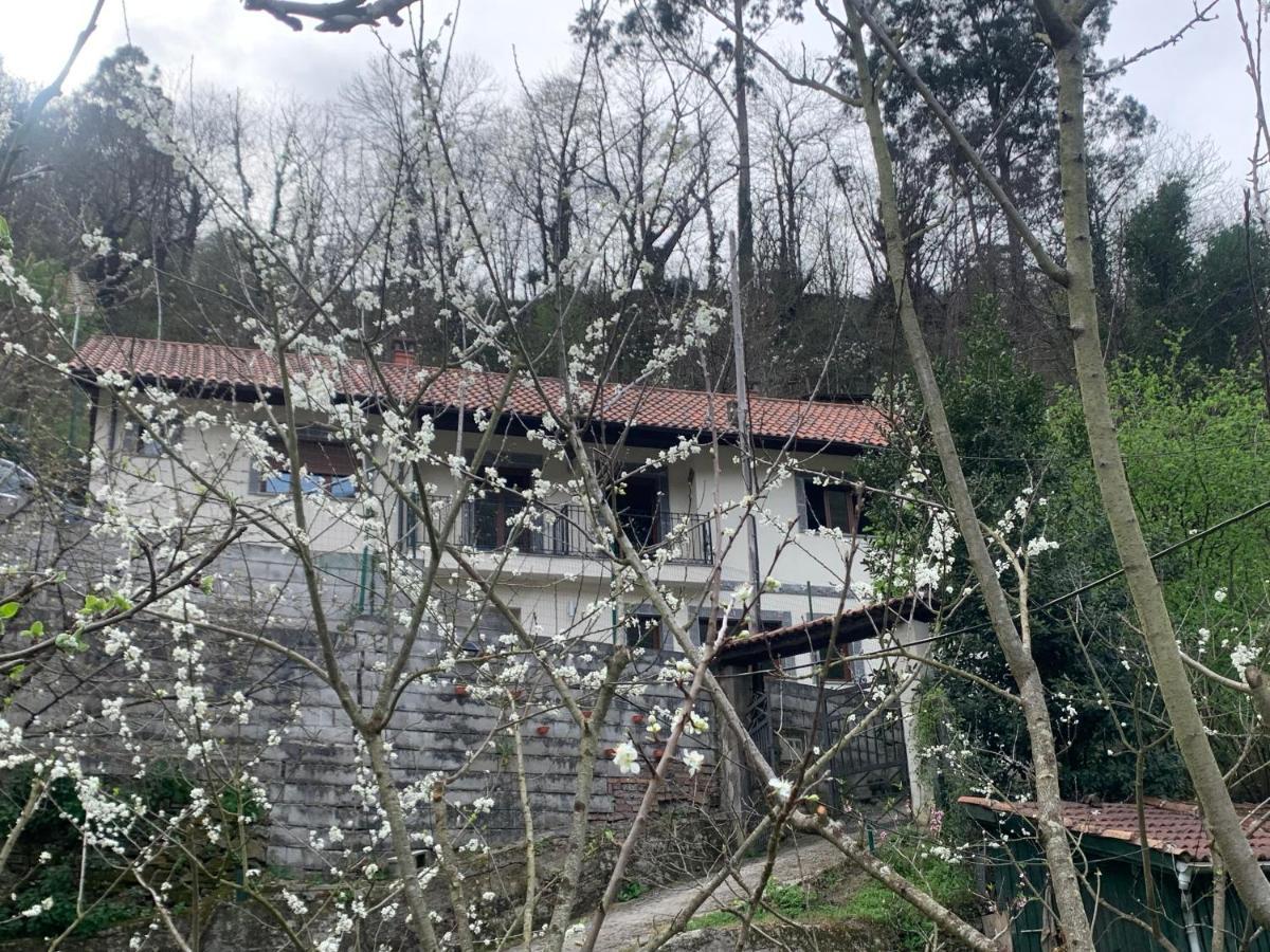 Casa Rural En Santa Cruz-Mieres Bustiello  Luaran gambar